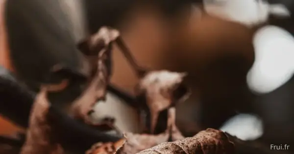 Les aliments oubliés qui reviennent dans nos assiettes